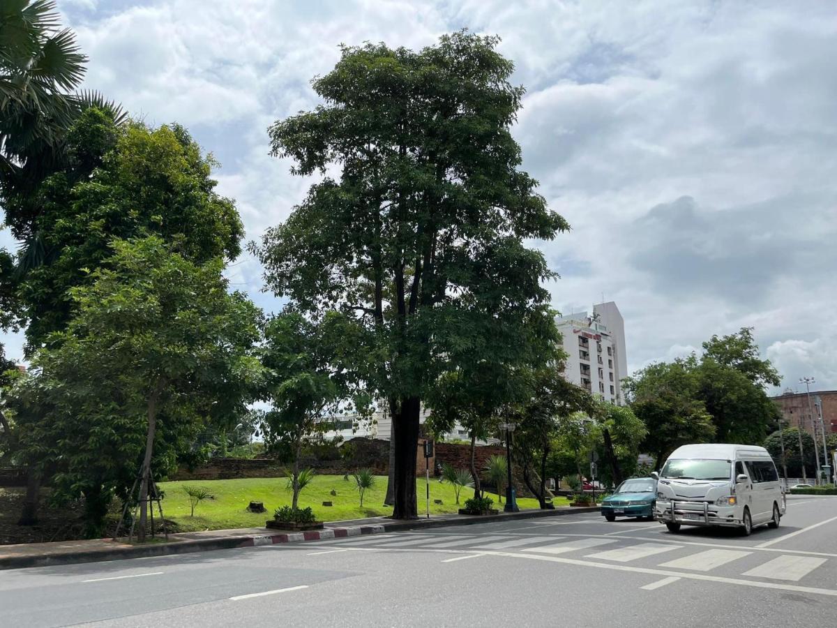 Chiangmai Khách sạn 3*